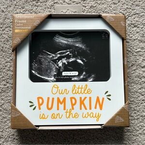 Fall Pregnancy Announcement Frame – “Our Little Pumpkin Is On The Way” – NWT